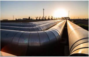 國家能源局綜合司關(guān)于開展油氣管網(wǎng)設(shè)施公平開放信息公開和信息報送專項督查工作的通知