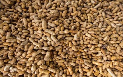 阿根廷花生生產(chǎn)商運(yùn)營(yíng)10兆瓦生物質(zhì)發(fā)電廠