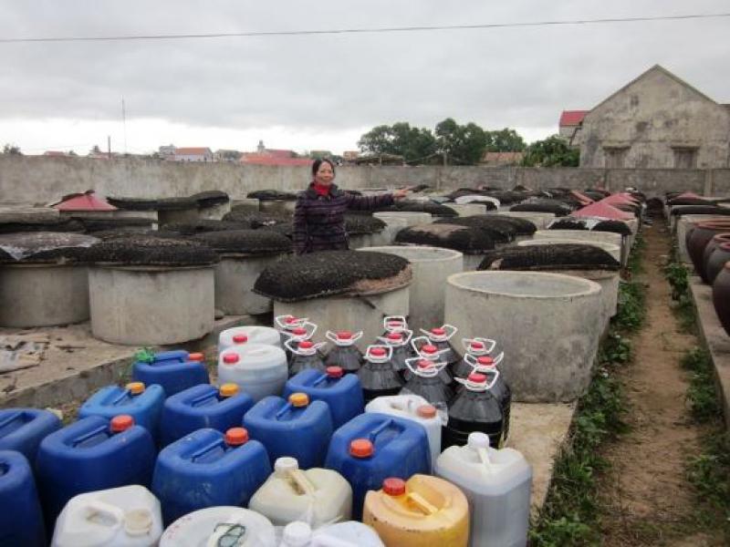 太陽(yáng)能技術(shù)在魚醬生產(chǎn)中的應(yīng)用