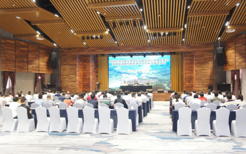 水電站運(yùn)行管理、梯級(jí)調(diào)度控制專委會(huì)聯(lián)合召開2018年學(xué)術(shù)交流會(huì)