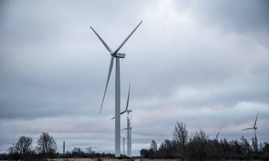 強(qiáng)風(fēng)使愛(ài)沙尼亞風(fēng)電場(chǎng)滿(mǎn)負(fù)荷運(yùn)轉(zhuǎn)，電力市場(chǎng)價(jià)格也受影響