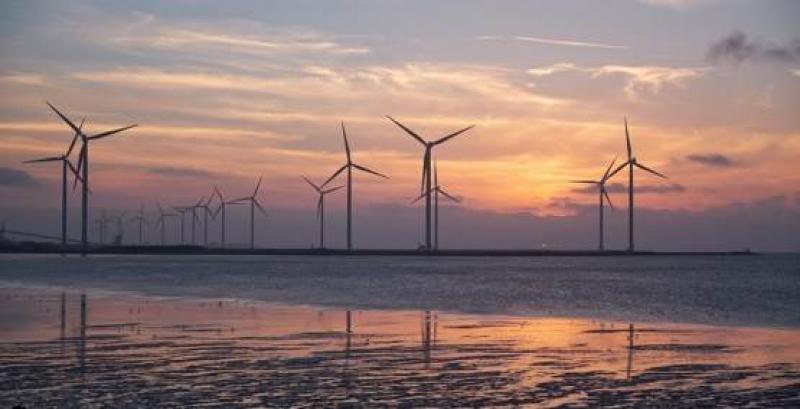 世界上最大的海上風電場的競標日期截止到10月23號