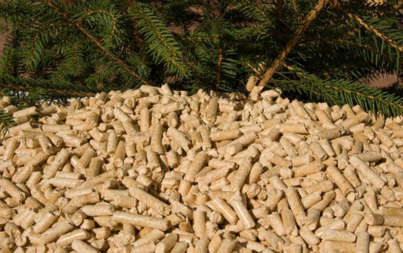 住友重機工業(yè)有限公司(SHI)在日本，韓國獲得生物質(zhì)項目