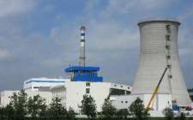 中國能建安徽電建一公司承建的安徽天長生物質(zhì)發(fā)電機(jī)組成功并網(wǎng)