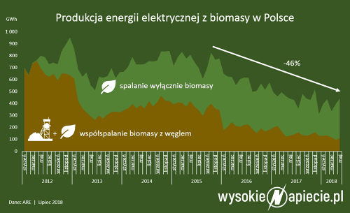 波蘭：生物質(zhì)將取代煤炭？
