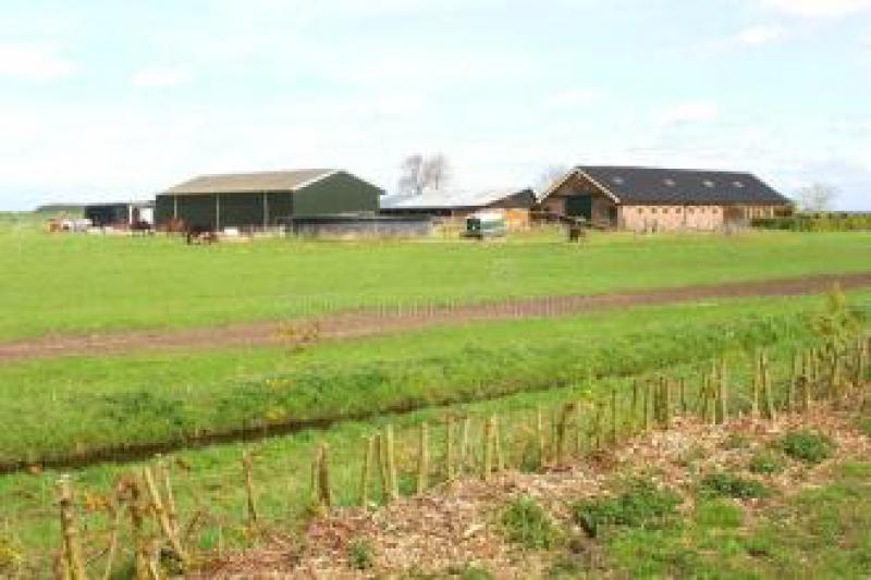 荷蘭的三個(gè)太陽(yáng)能農(nóng)場(chǎng)得到了一億歐元投資