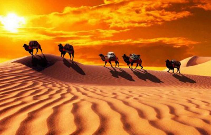 烏克蘭經(jīng)貿(mào)部介紹烏實(shí)施“絲綢之路”項(xiàng)目落實(shí)情況