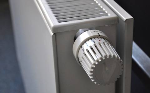 塞爾維亞預(yù)計(jì)將在2019年完成延遲360萬歐元的生物質(zhì)供熱廠項(xiàng)目