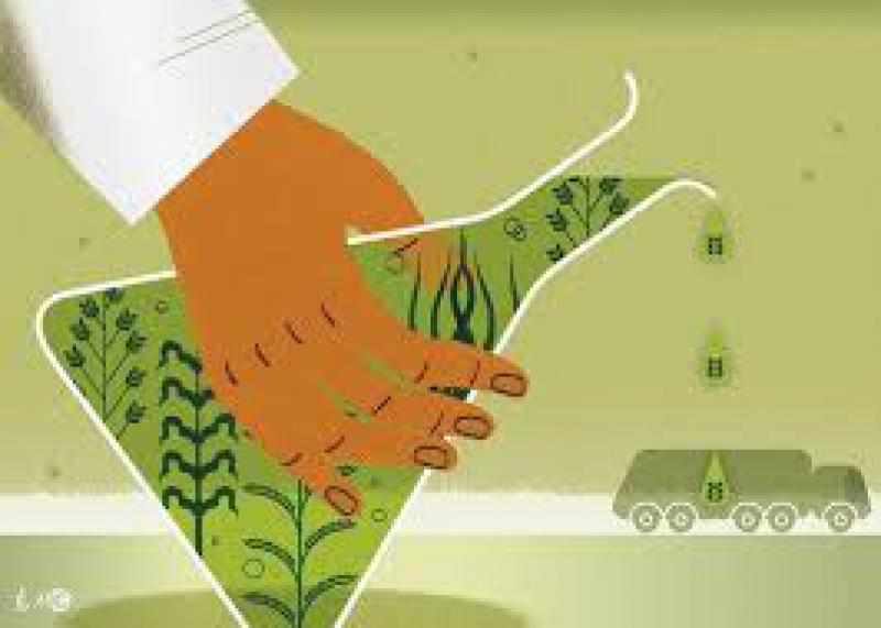 韓國7月份乙醇進口量環(huán)比下降41%