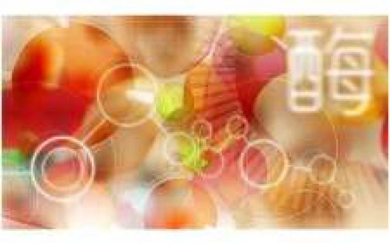 紅藻中發(fā)現(xiàn)可增加生物燃料產(chǎn)量的酶