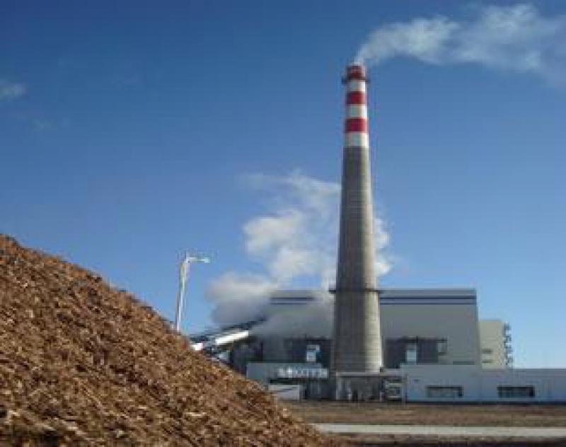 生物質發(fā)電去補貼或快于預期