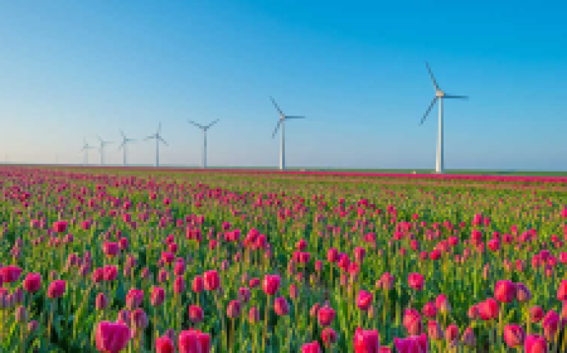 維斯塔斯通過ECN為Wieringermeer風(fēng)測試站點確保訂單