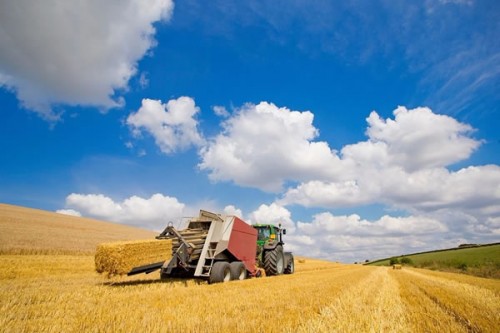 黑龍江三年內(nèi)計(jì)劃新建32個(gè)農(nóng)林生物質(zhì)熱電聯(lián)產(chǎn)項(xiàng)目