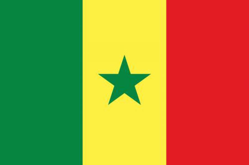 塞內加爾能源政策及發(fā)展戰(zhàn)略