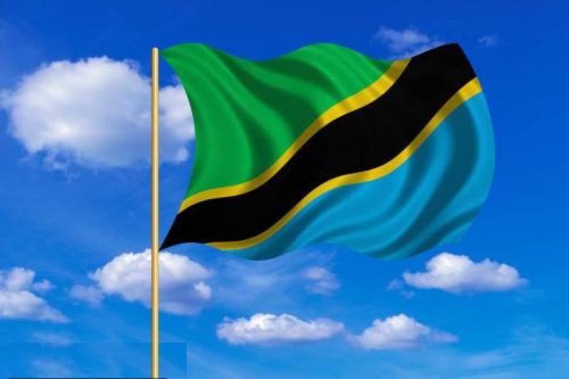 坦桑尼亞能源概況：生物質(zhì)能