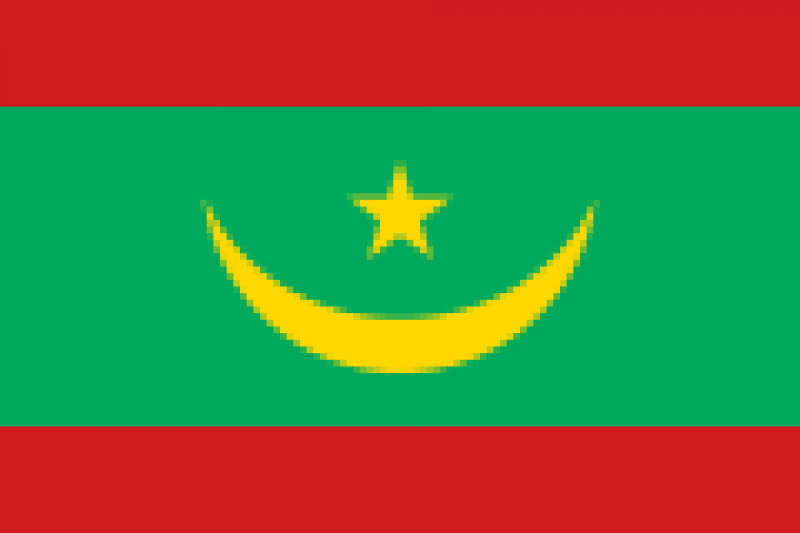 毛里塔尼亞能源介紹