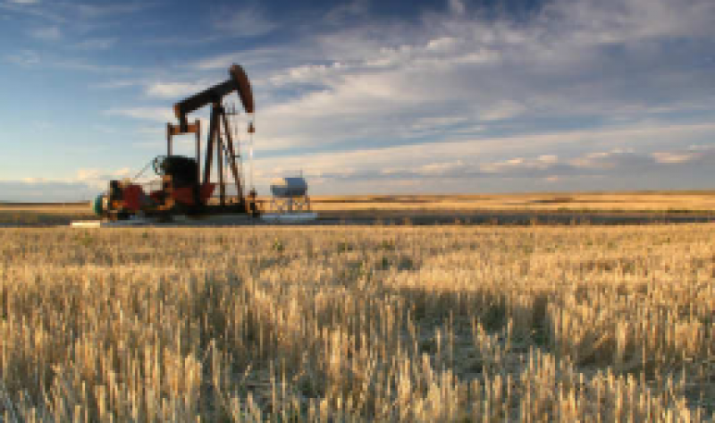 印度原油產(chǎn)量下降4.19％，推動(dòng)9月份進(jìn)口依賴度達(dá)到83.7％