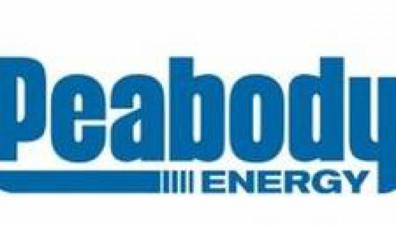 聯(lián)邦委員會(huì)贊成煤炭而非石油開(kāi)發(fā)