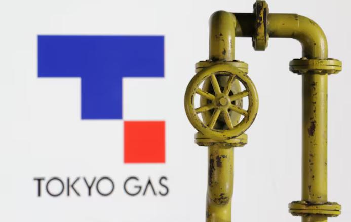 CorPower Ocean獲日法新投資者 加速波浪能項目開發(fā)