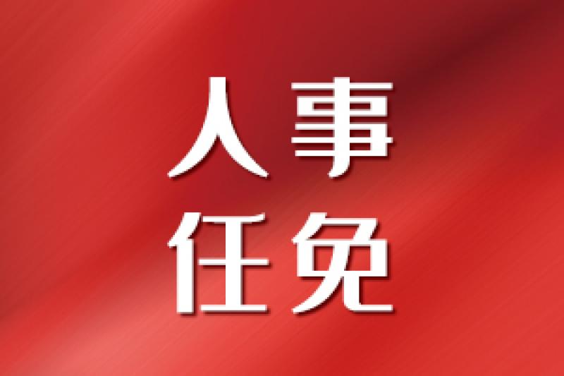 國(guó)家電投總經(jīng)理調(diào)整