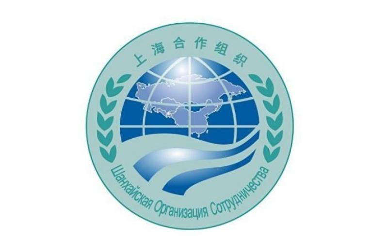 中國(guó)—上海合作組織國(guó)家能源合作交出亮眼“成績(jī)單”