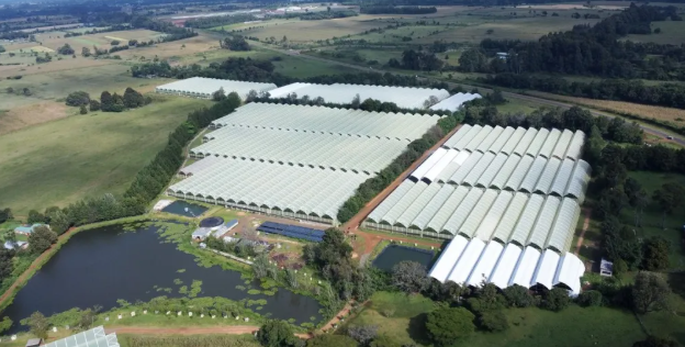 肯尼亞花卉種植園儲能系統(tǒng)實(shí)現(xiàn)清潔能源轉(zhuǎn)型