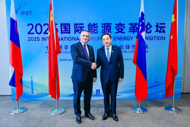 國家能源局主要負責人會見斯洛文尼亞環(huán)境、氣候和能源部部長