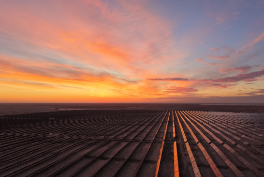 上海申能(集團)有限公司走出去建設(shè)的單期容量最大光伏項目竣工