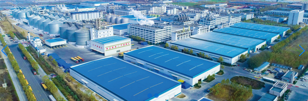 端點(diǎn)科技攜手金玉米，深耕農(nóng)業(yè)采購(gòu)“良田”